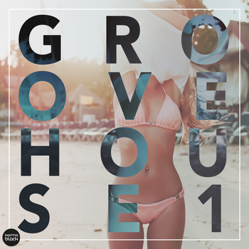 Various Artists - Groove House 1