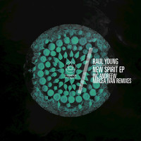 Raul Young - New Spirit EP
