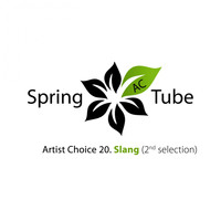 Dj SlanG - Artist Choice 020. Slang (2nd Selection)