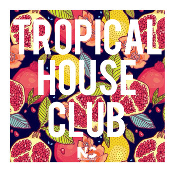 Various Artists - Tropical House Club