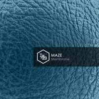 Maze - Membrane