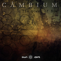 Cambium - The Power of Now