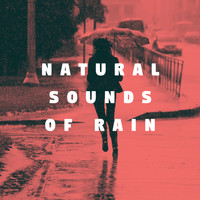 Nature Sounds, Thunderstorm Sleep and Nature Sound Series - Natural Sounds of Rain