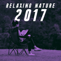 Relaxing Rain Sounds, Rain Sounds Sleep and Nature Sounds for Sleep and Relaxation - Relaxing Nature 2017