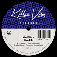 Vibe Killers - Raw E.P.