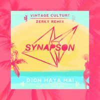 Synapson - Djon Maya Maï (feat. Victor Démé) (Vintage Culture and Zerky Remix)