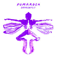 Pumarosa - Dragonfly