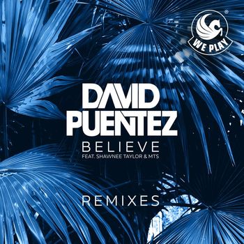 David Puentez - Believe (feat. Shawnee Taylor & MTS) (Remixes)