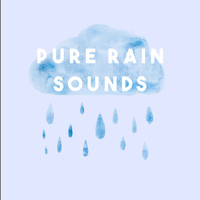 White Noise Research, White Noise Therapy and Nature Sound Collection - Pure Rain Sounds