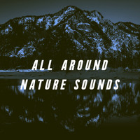 Nature Sounds, Thunderstorm Sleep and Nature Sound Series - All Around Nature Sounds