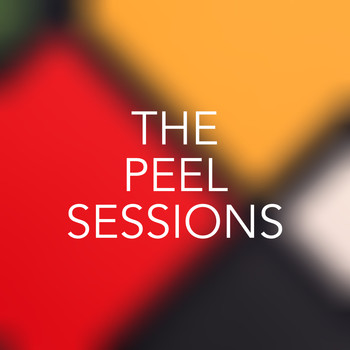 Various Artists - The Peel Sessions