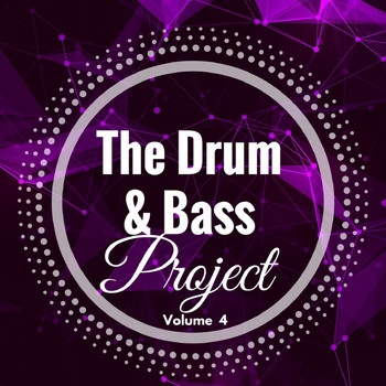 Various Artists - The Drum & Bass Project: Volume 4