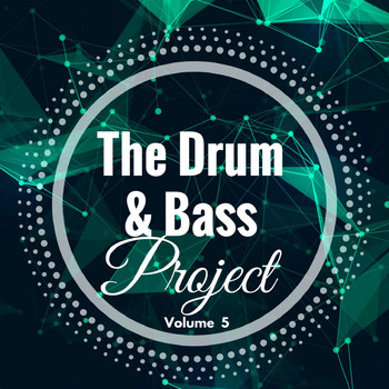 Various Artists - The Drum & Bass Project: Volume 5