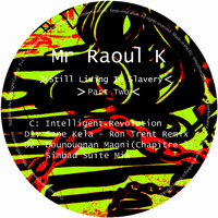 Mr Raoul K - Still Living In Slavery - Pt. 2