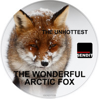 The Unhottest - The Wonderful Arctic Fox