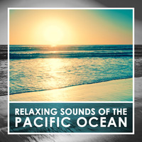 Cameron McBride - Relaxing Sounds of the Pacific Ocean
