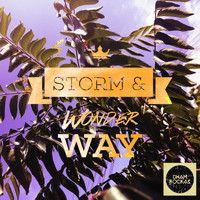 Storm & Wonder - Way