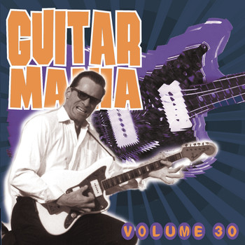 Various Artists - Guitar Mania Vol. 30