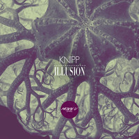KNIPP - Illusion