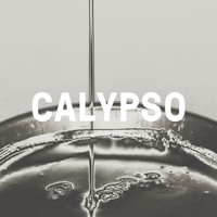 The Physics House Band - Calypso