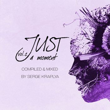 Various Artists - Just a Moment, Vol. 2 (Compiled & Mixed by Serge Kraplya)