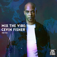 Cevin Fisher - Mix the Vibe: Cevin Fisher