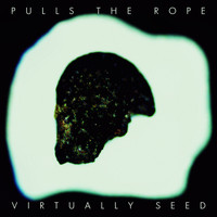 Virtually Seed - Pulls the Rope
