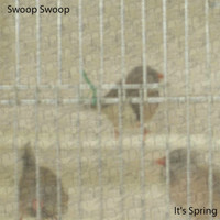 Swoop Swoop - It's Spring
