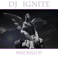Dj Ignite - What Really Is