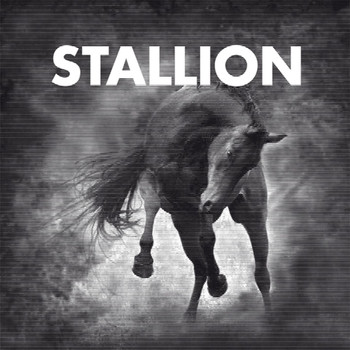 Stallion - Stallion Session #1