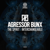 Agressor Bunx - The Spirit / Interchangeable