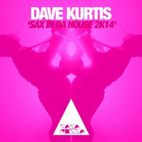 Dave Kurtis - Sax in da House 2k14