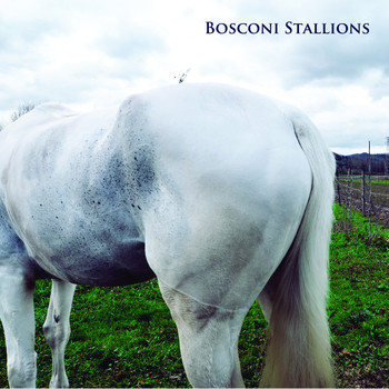 Various Artists - Bosconi Stallions Compilation - Celebrating 5 Years of Bosconi Records