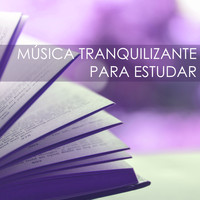 Musicas para Estudar Collective - Música Tranquilizante para Estudar - Músicas de Fundo para Melhorar a Concentração