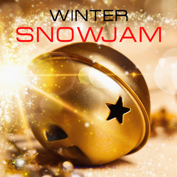 Various Artists - Winter Snowjam
