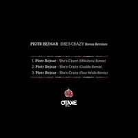 Piotr Bejnar - She 's Crazy Bonus Remixes feat. DJ Mo