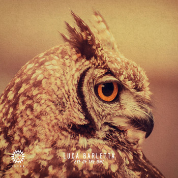 Luca Barletta - Eye Of The Owl