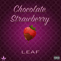 Leaf - Chocolate Strawberry