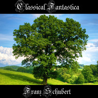 Franz Schubert - Classical Fantastica: Franz Schubert