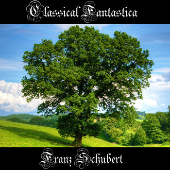 Franz Schubert - Classical Fantastica: Franz Schubert