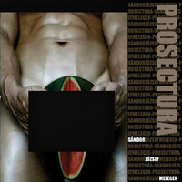 Prosectura - Sándor, József, Melegek
