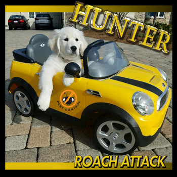 Hunter - Roach Attack
