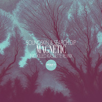 Search DiP, Soundskin - Magnetic