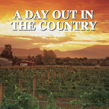 Various Artists - A Day Out In The Country