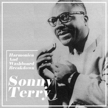 Sonny Terry and Brownie McGhee - Harmonica And Washboard Breakdown