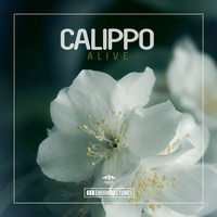 Calippo - Alive