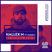 Hallex M - Feeling