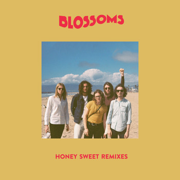 Blossoms - Honey Sweet (Remixes)