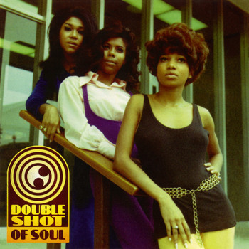 Various Artists - Double Shot Of Soul