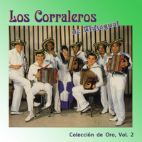 Los Corraleros De Majagual - Colección de Oro, Vol. 2